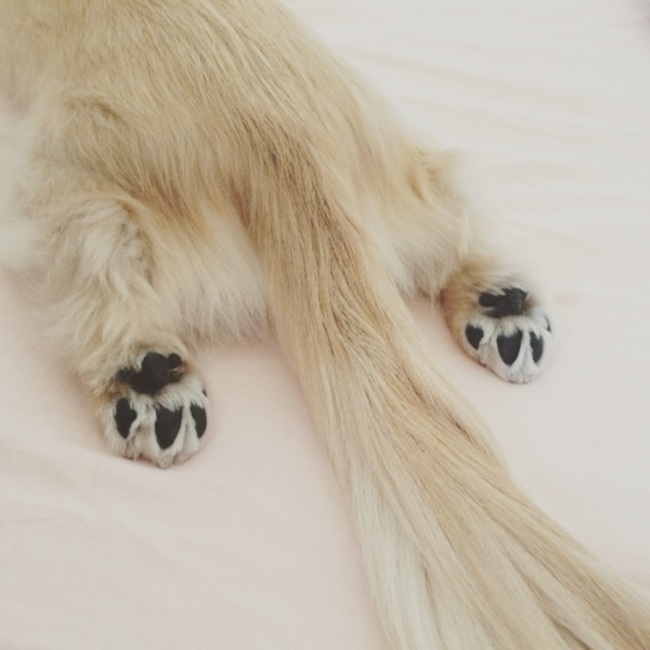 kina0201のカバー写真