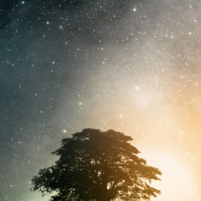 きまんたのカバー写真