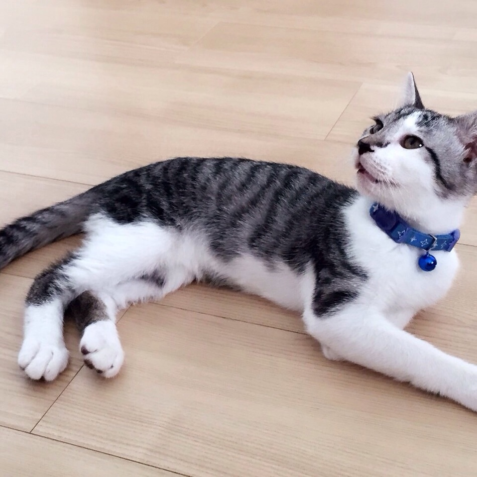 遙(はるか)のカバー写真