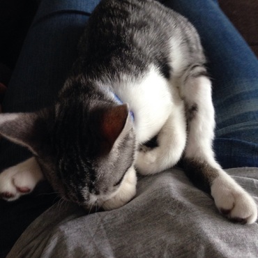 ひざの上で変な寝相、！