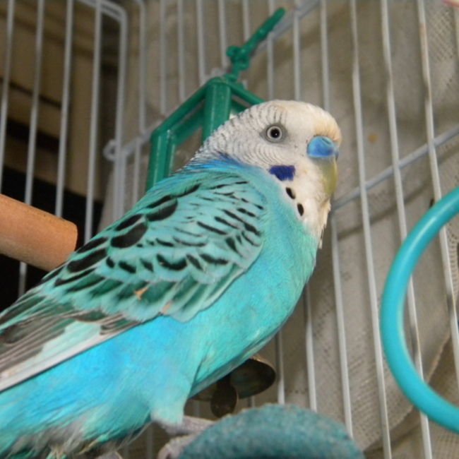 michimasaのカバー写真