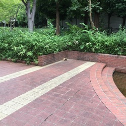 2015/08/29～30 保護記録