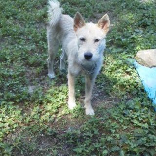 甘えん坊のの男の子です