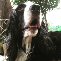 hyde （ハイド）