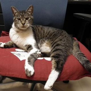 終了させていただきました