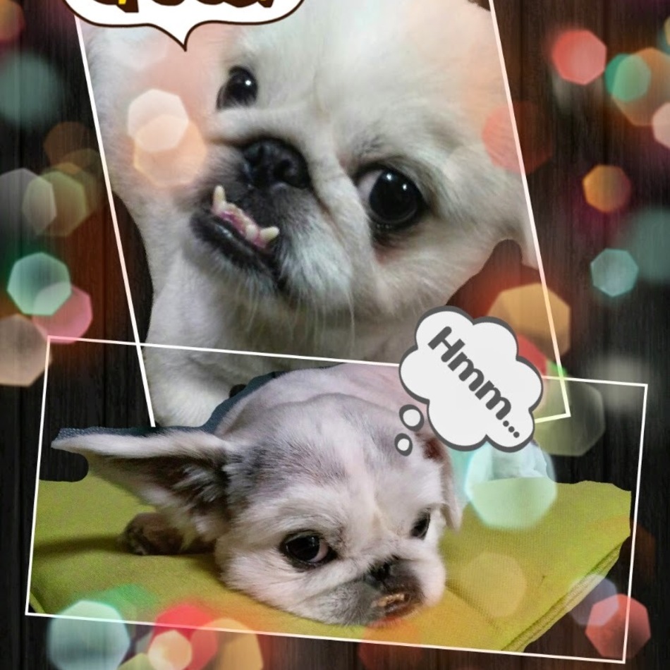 うつぼのカバー写真