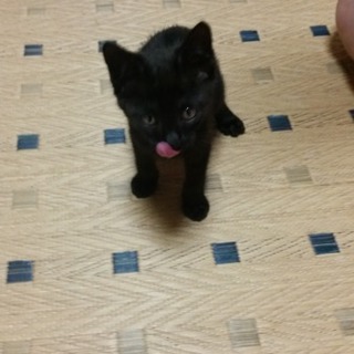 ありがとうございました。