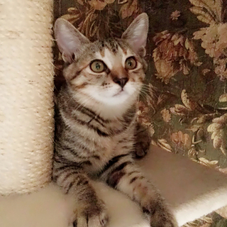 頼れるお兄ちゃん、そらくん、麦わら兄弟