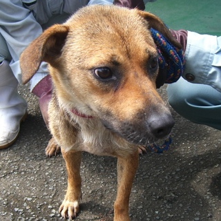 譲渡されました！！