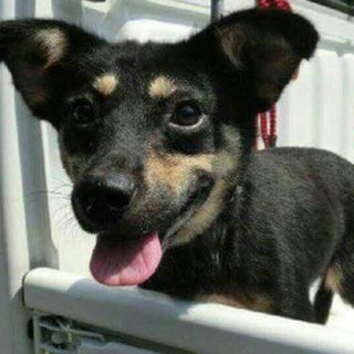 この子の命を救ってください。