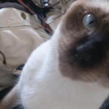 アルベールの写真