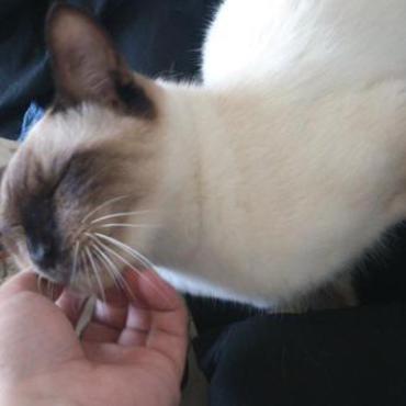 初ゴロゴロいただきました＾＾