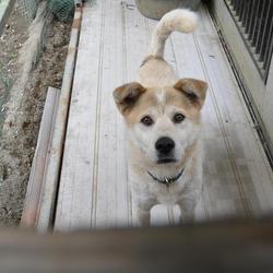 ジャック専用ドッグラン