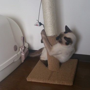 一周しかけるwwww笑ってしまいましたw