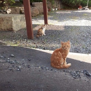 幸せにしてください 。