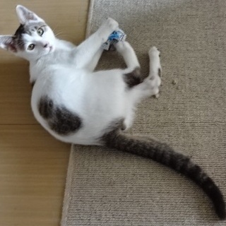 元気な男の子！