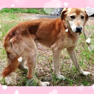 期限近いです‼︎