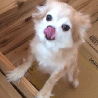 いつも一緒にいてくれるかた