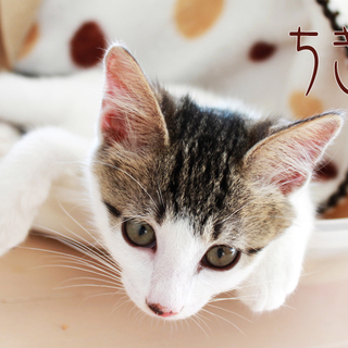 抱っこおねだり二ヶ月女子♪