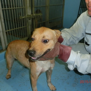 譲渡されたそうです！！