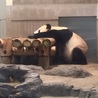 ときしば
