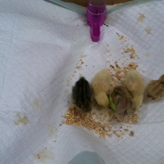 ありがとうございました！