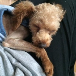 「里親になって2日目」サムネイル2