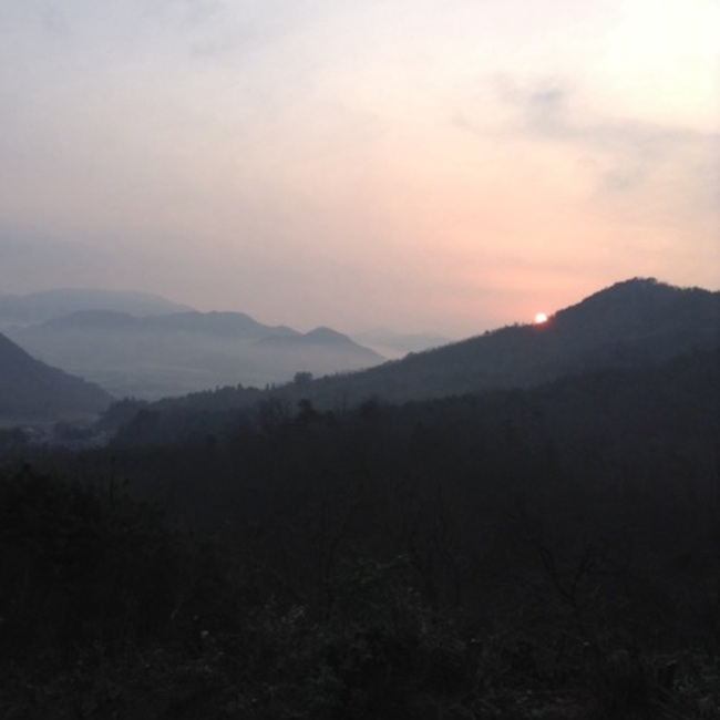 モニャのカバー写真