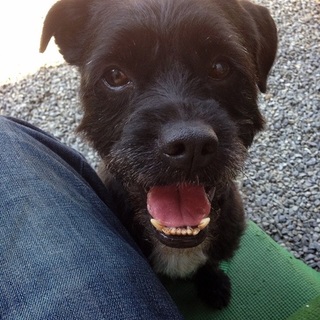 家族が出来ました！