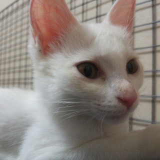 よじのぼり大好き！しっかり者のつむぎちゃん