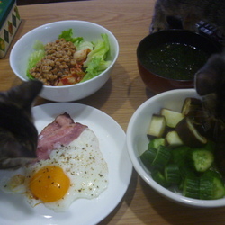 「リビングデビュー♪でも…それはダメっ！」サムネイル2