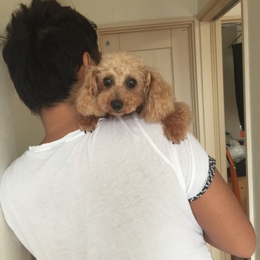 階段は降りられないろこさん、なので毎回抱っこでおります♡