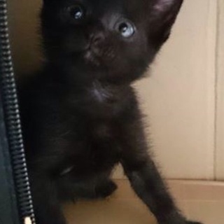 キューくん・お利口さんのマイペース