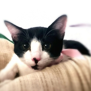 元気！あごひげ坊や ３ヶ月