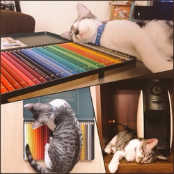 我が家にきてもうすぐ１ヶ月