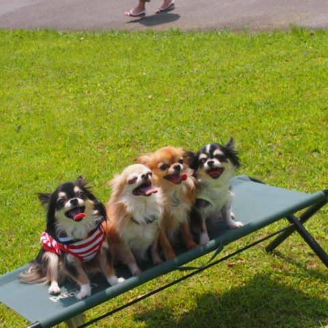 けいちんままのカバー写真