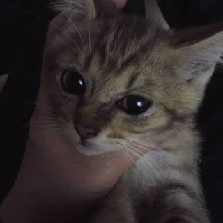 生後４ヶ月の女の子です☆