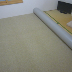 「里親になって１週間♪…飼育環境を考えるの巻」サムネイル2