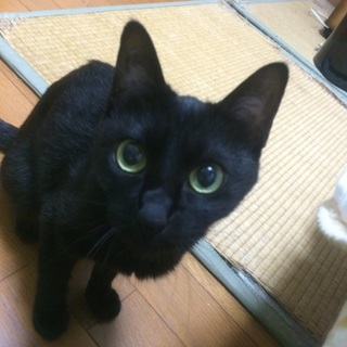 最後まで可愛いがって愛情を与えてくださる方