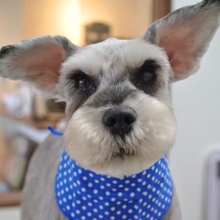 ビビリだけど甘えたな男の子♪