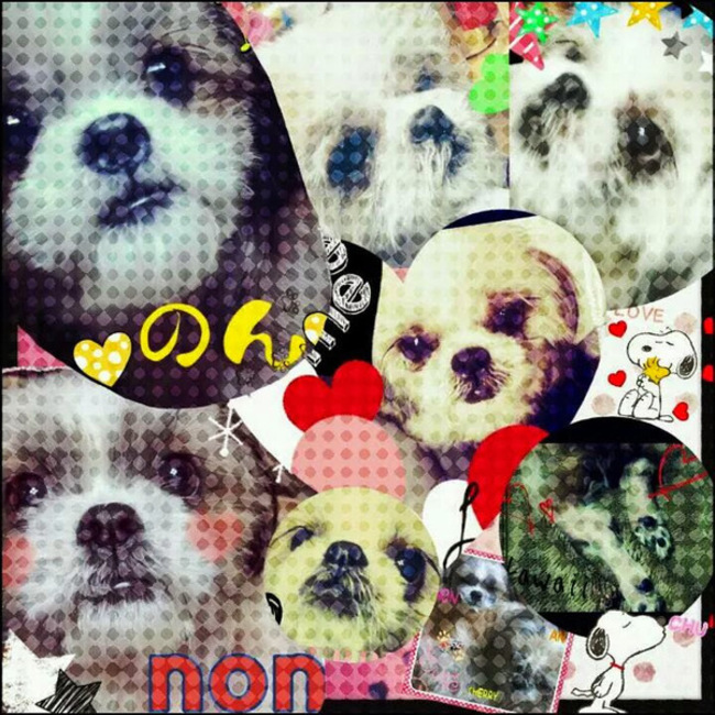 オオワタリアカネのカバー写真