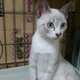 素敵な家族が見つかりました！！