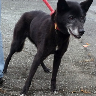 譲渡されました！！