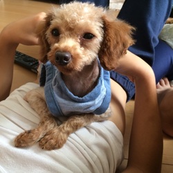 「里親になって4日目！」サムネイル1