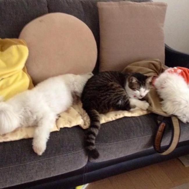 catch me!のカバー写真