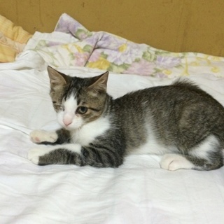 片目を失っても元気に生きる男の子♪