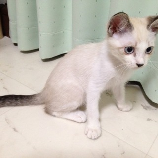 元気で人懐こい男の子