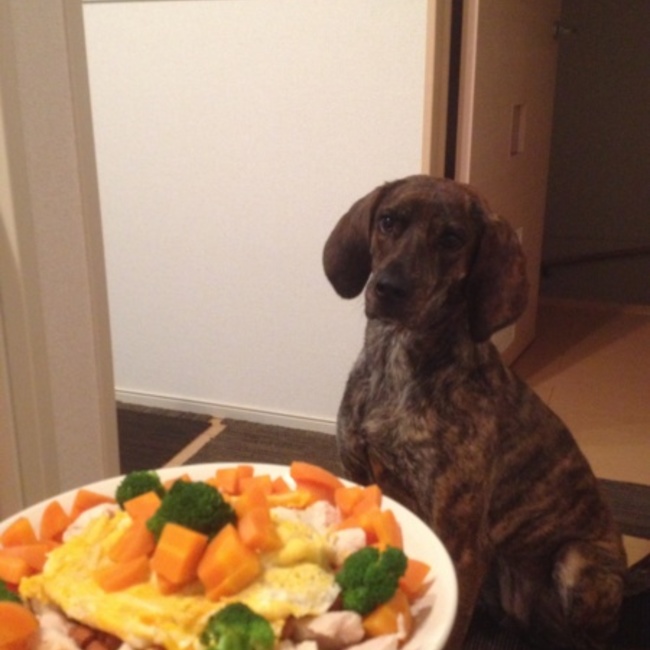 しーょーのカバー写真