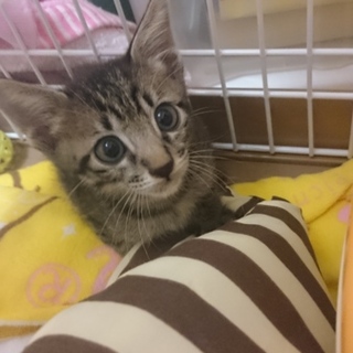 たくさんのご応募ありがとうございました！