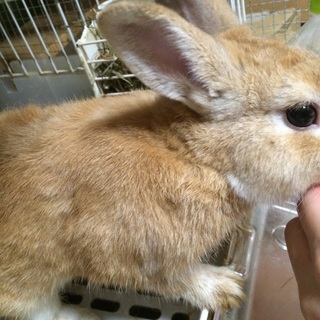 里親さん決定！